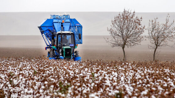    В России могут запретить добычу песка и щебня на пашнях, в садах и виноградниках Екатерина Щербакова