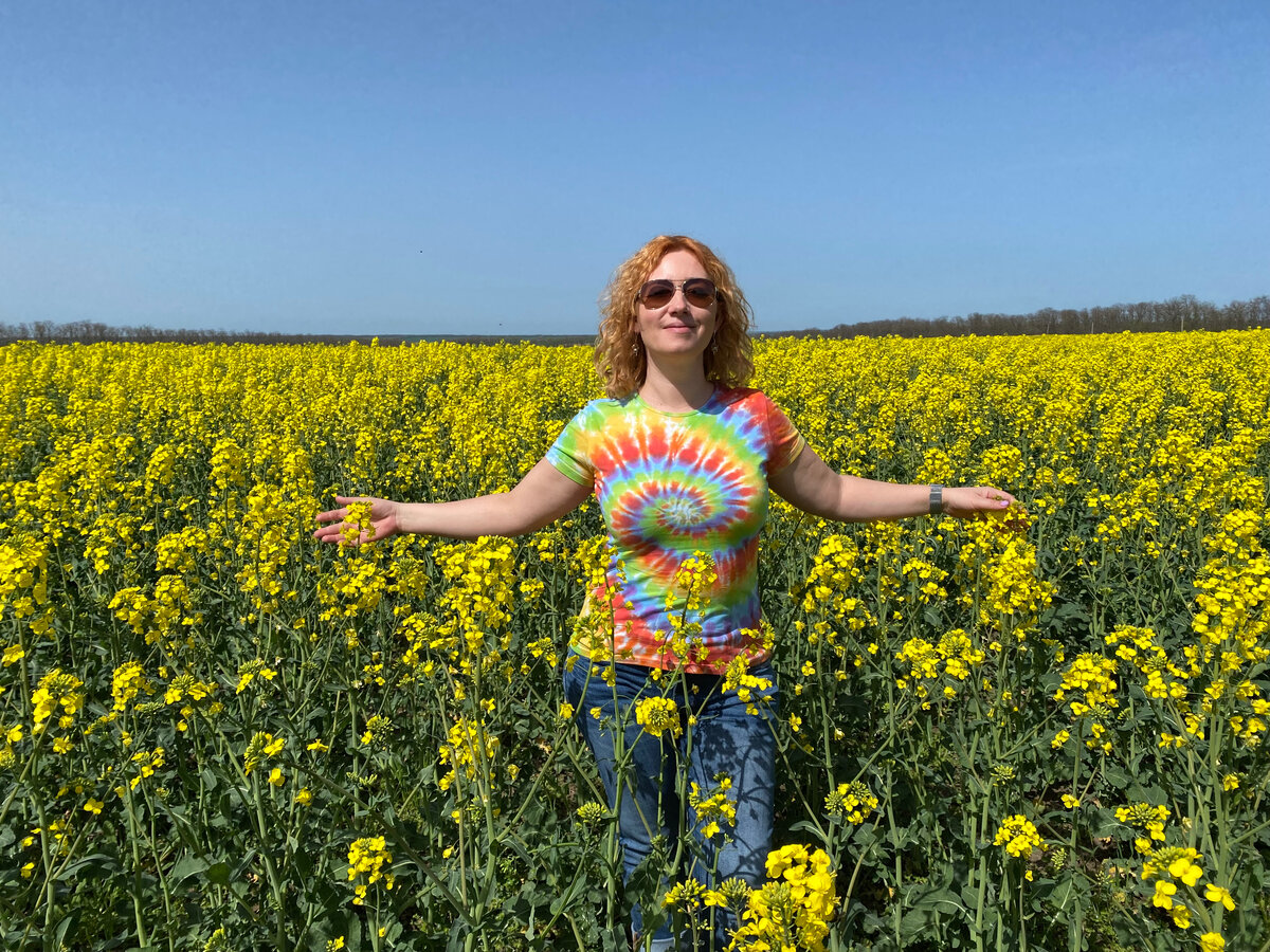 Поле цветущего рапса.