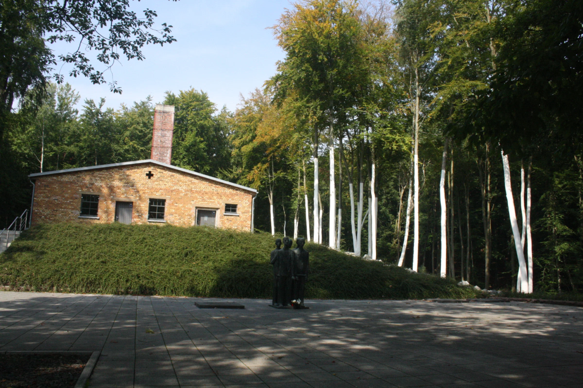 Стволы деревьев возле крематория окрашены в белый цвет как раз на том уровне, на котором была насыпана гора пепла от сожженных людей.