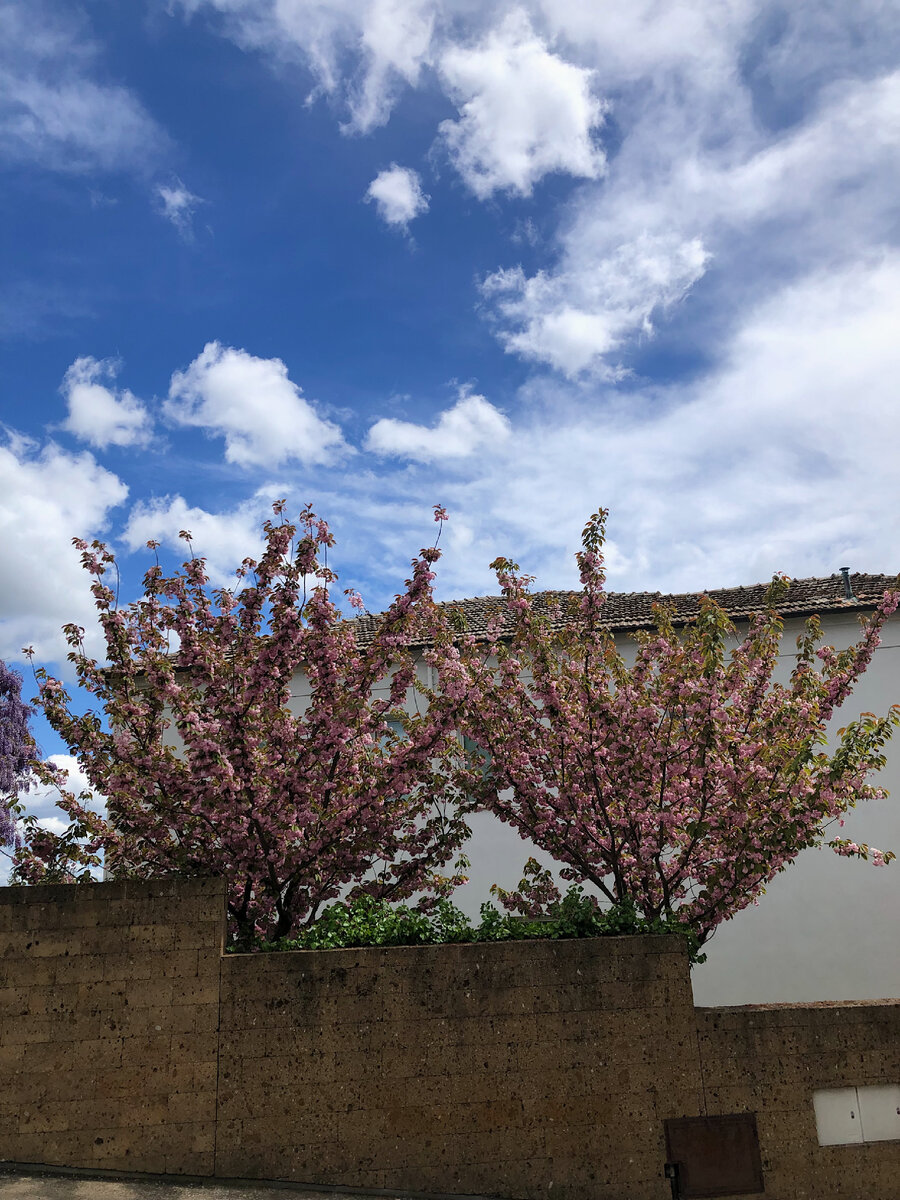 Город Баньореджо