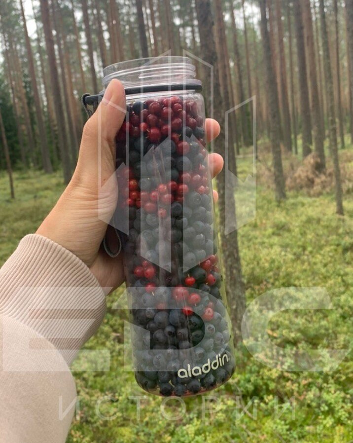 Бeтылка Aladdin, упомянутая выше. На фото видно, что прозрачный пластик бутылки немного затерт. А она здесь почти новая...