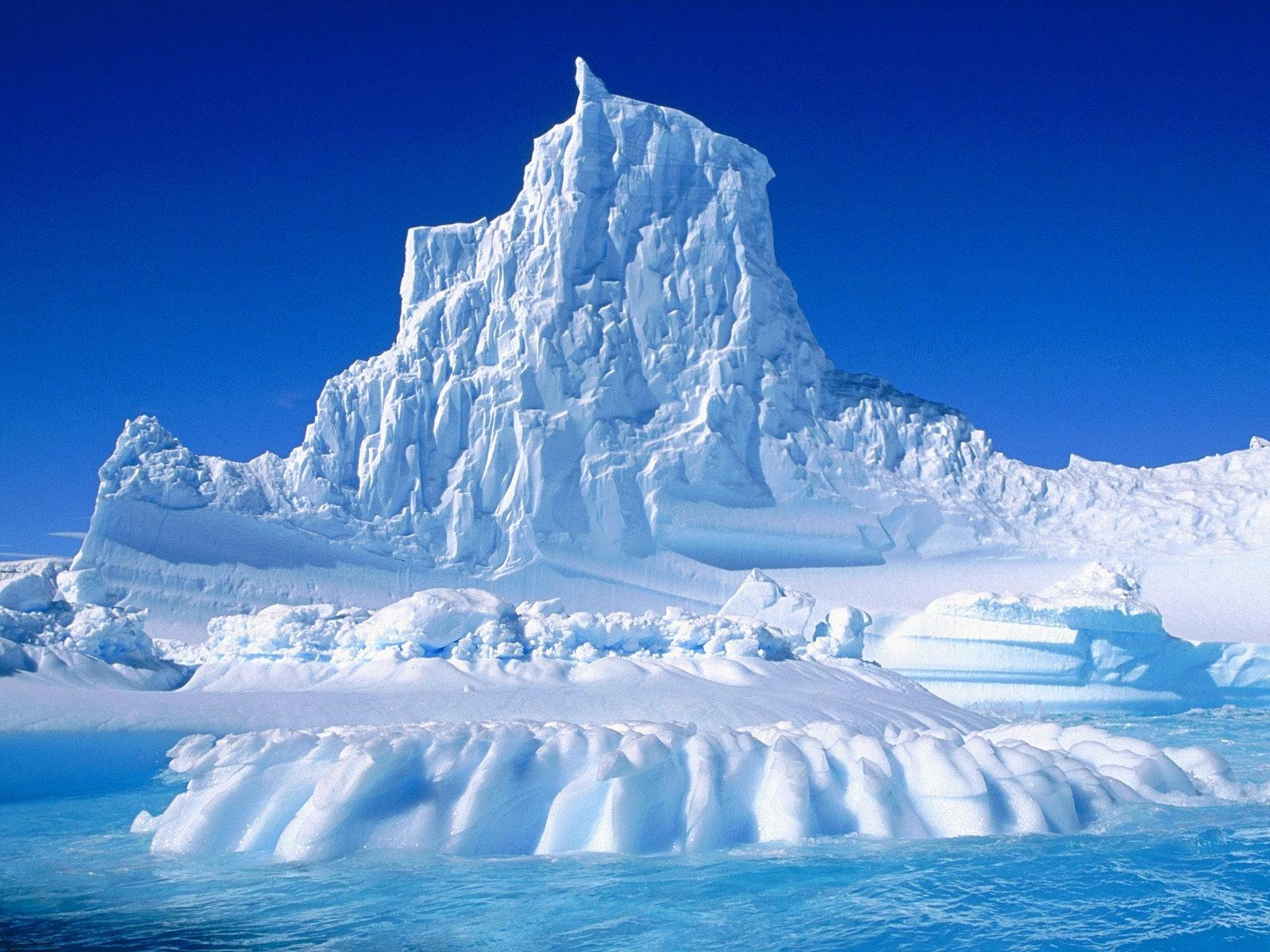Как различать Арктику, Антарктиду и Антарктику, чем они отличаются друг от друга?