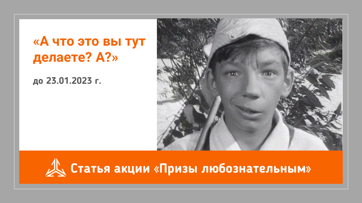 А что вы тут делаете