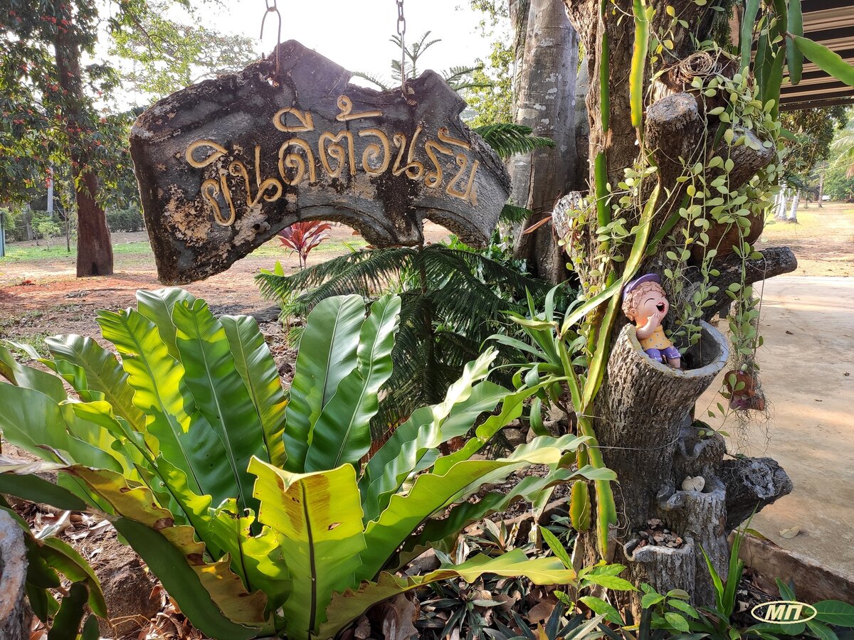 Смеющиеся тайские куколки - аналог наших садовых гномиков