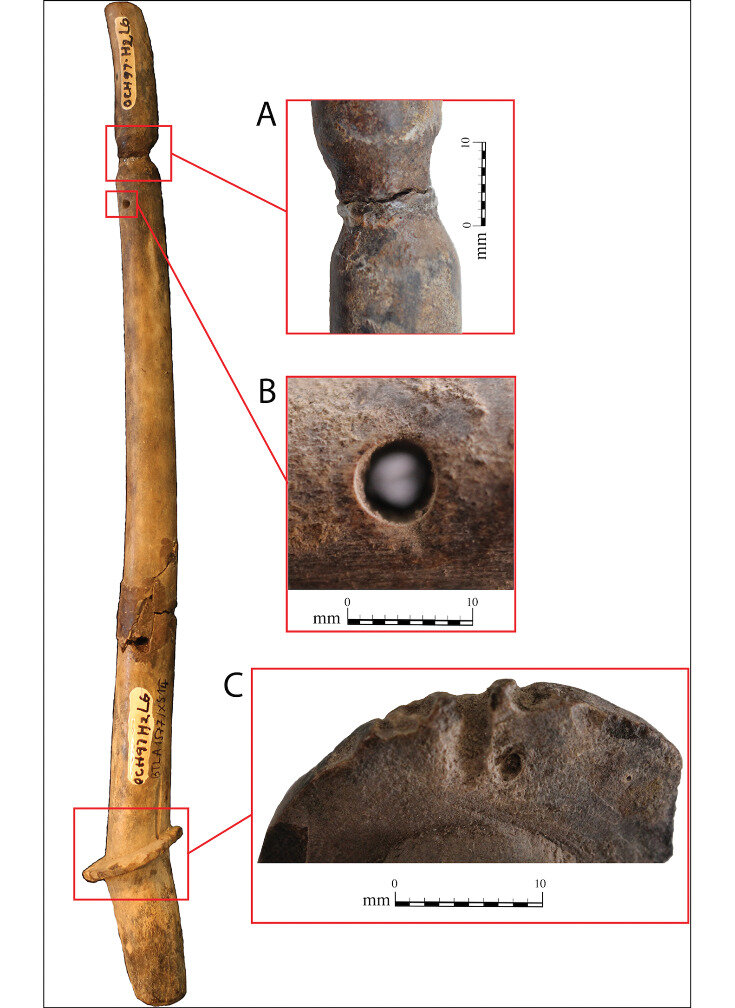   Fredeliza Campos et al. / Antiquity, 2023