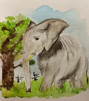 Авторская иллюстрация