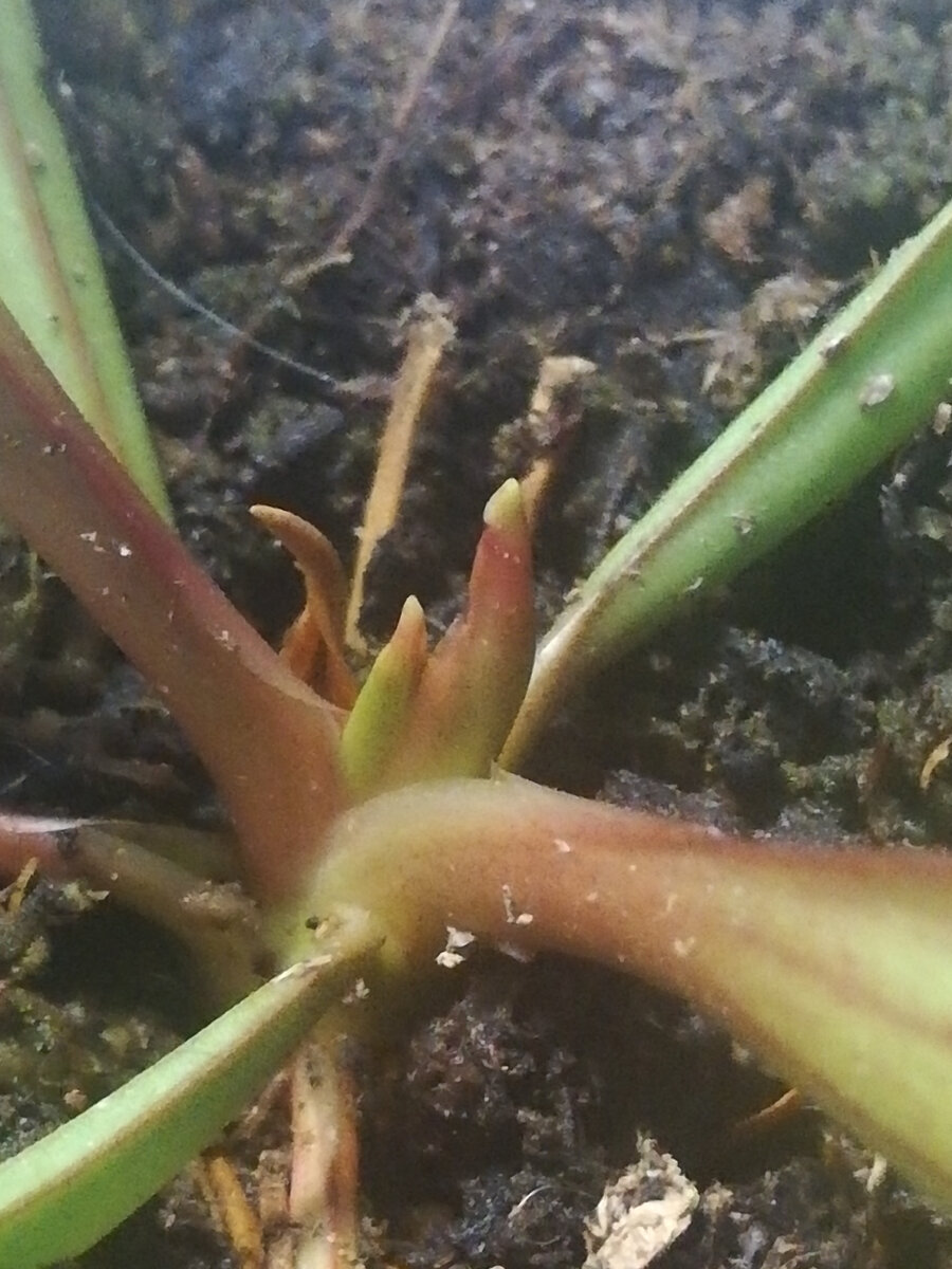 А это около недели назад