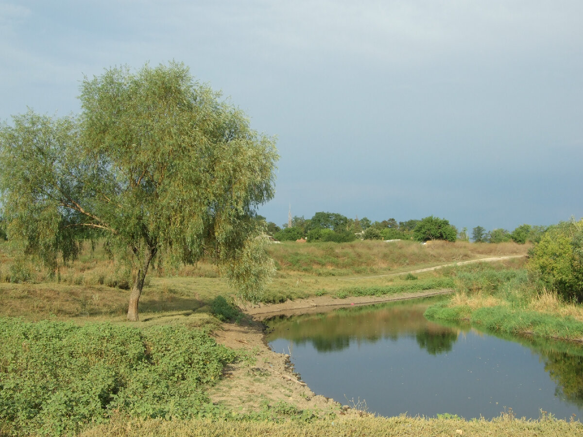 Река Крынка у села Александровки