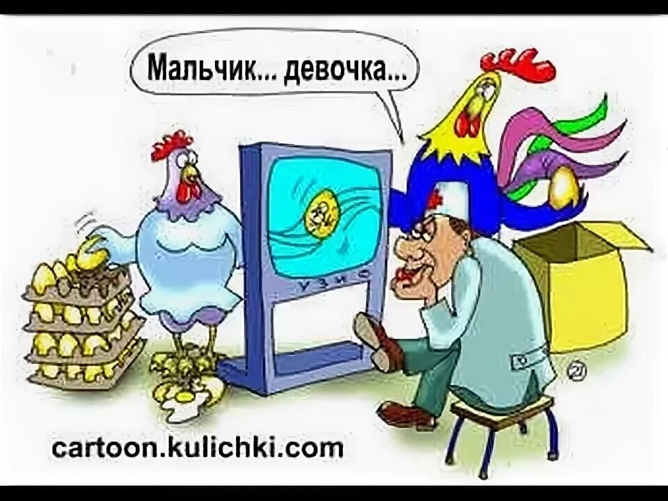 Манюська из попичконов дзен канал. УЗИ карикатура. Куры карикатура. Врач УЗИ юмор. Петух карикатура.