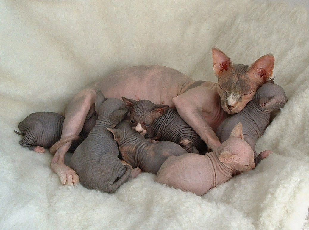 Болезни и заболевания