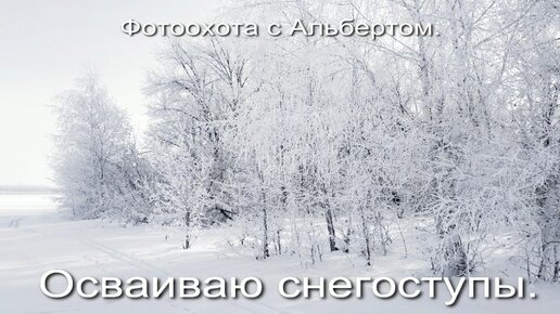 Фотоохота с Альбертом. Осваиваю снегоступы.