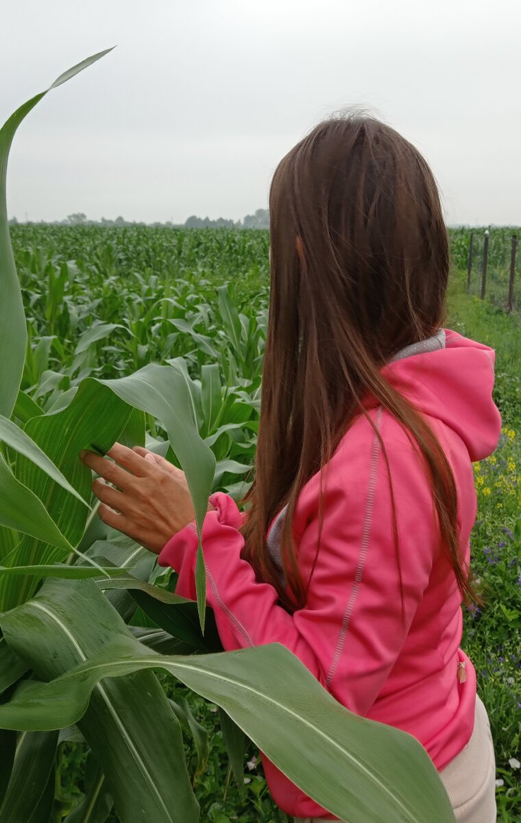 Я в деревне в гостях, лет 30 не была тут)