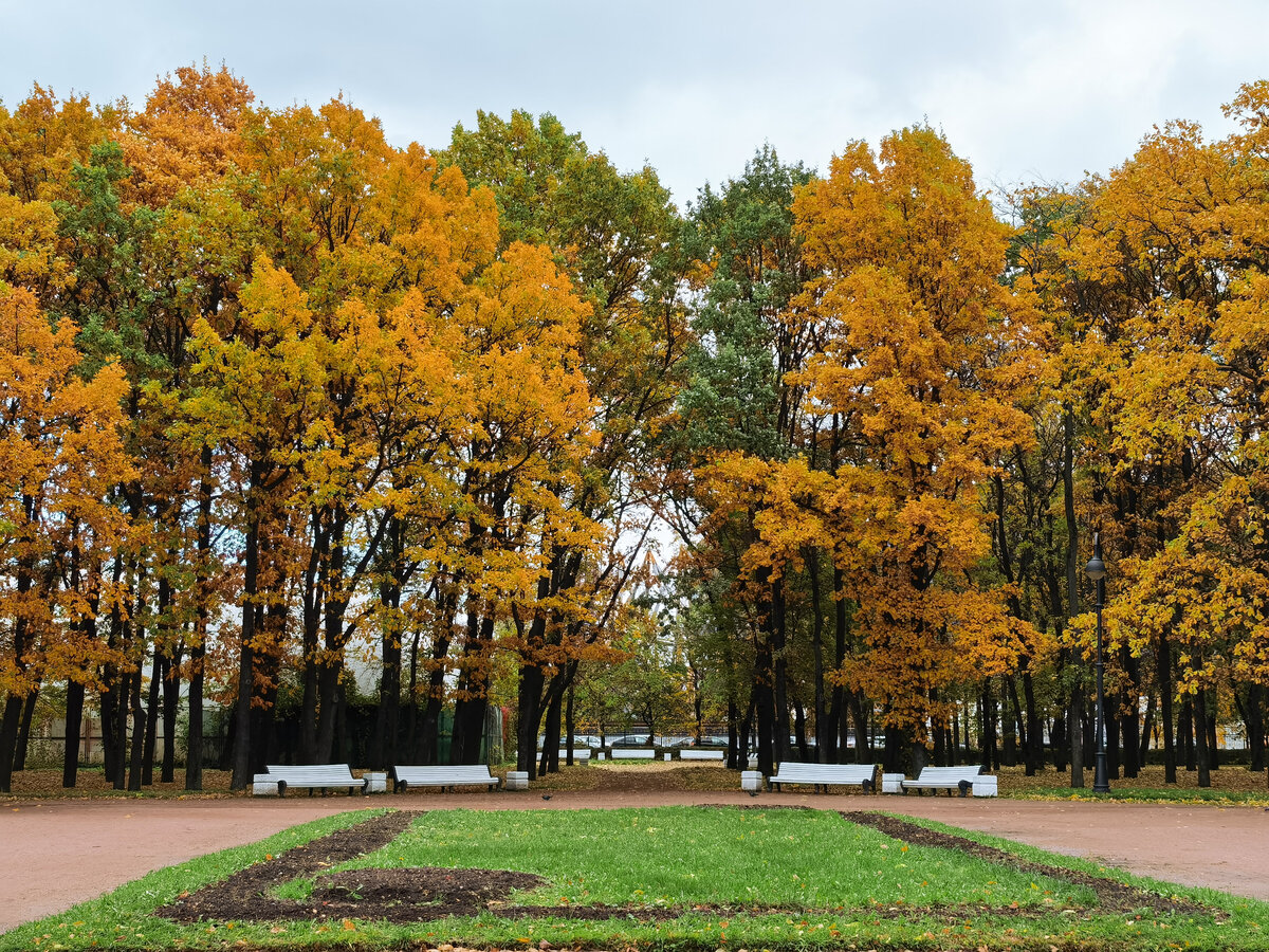 Осенний лес