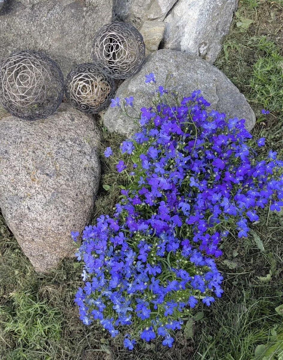 Кованые ажурные шары. Очень тонкая работа. С камнем  сочетание металла необыкновенно гармонично!