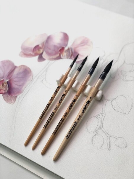 Фото Елены Обабковой