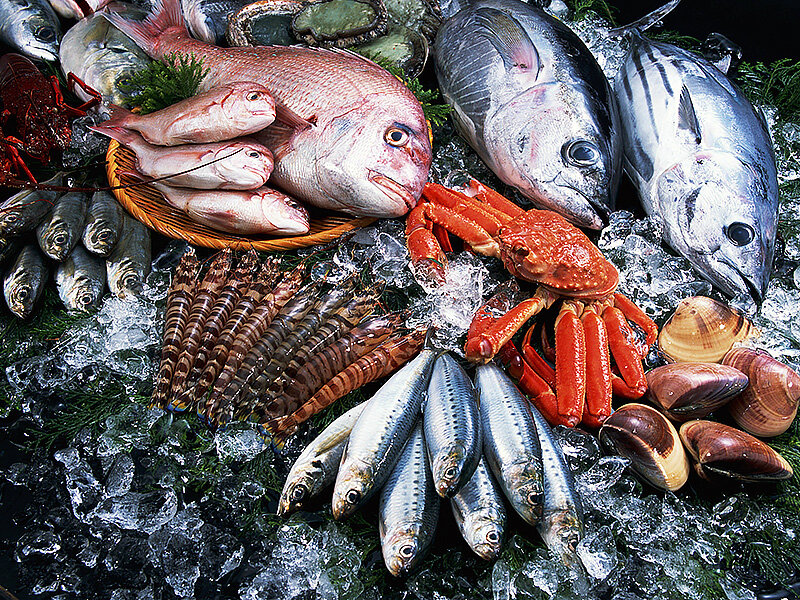 Рыба и морепродукты