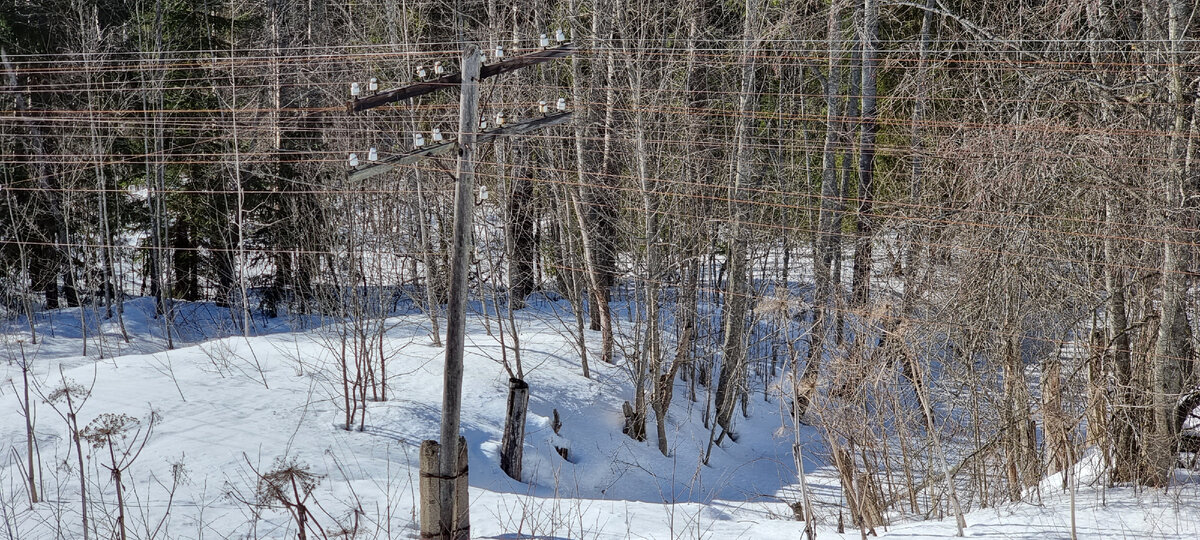 Опора линии телефонно-телеграфной связи на селижаровской ветке, тип №2. Фото: Алексей Алексеев