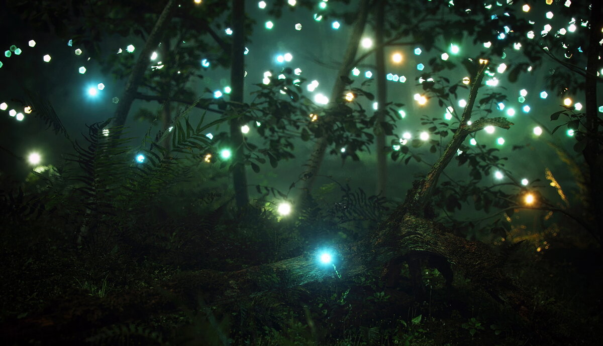 Огоньки находились на разной высоте в густой растительности.
Источник фото: https://mir-s3-cdn-cf.behance.net/project_modules/1400/b47b65110218393.5fe759f16ac9c.jpg