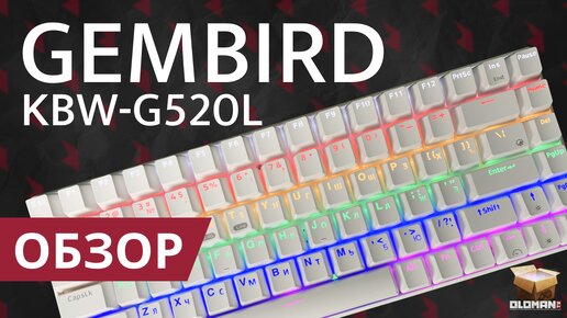 ОБЗОР GEMBIRD KBW-G520L | БЕСПРОВОДНАЯ ИГРОВАЯ КЛАВИАТУРА С ПОДСВЕТКОЙ | RGB | ИГРОВАЯ МЕХАНИЧЕСКАЯ КЛАВИАТУРА | OUTEMU BLUE SWITCH