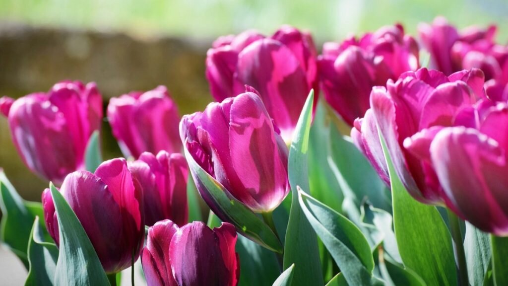    Фото: Pixabay Милана Соболевская