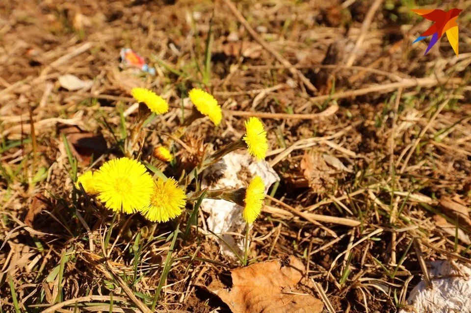     Все дело в циклоне над Европой Амир Закиров