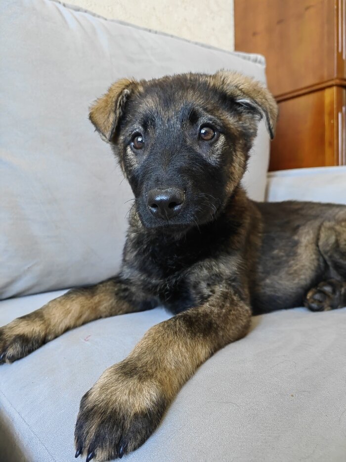 Листайте вправо, чтобы увидеть больше изображений