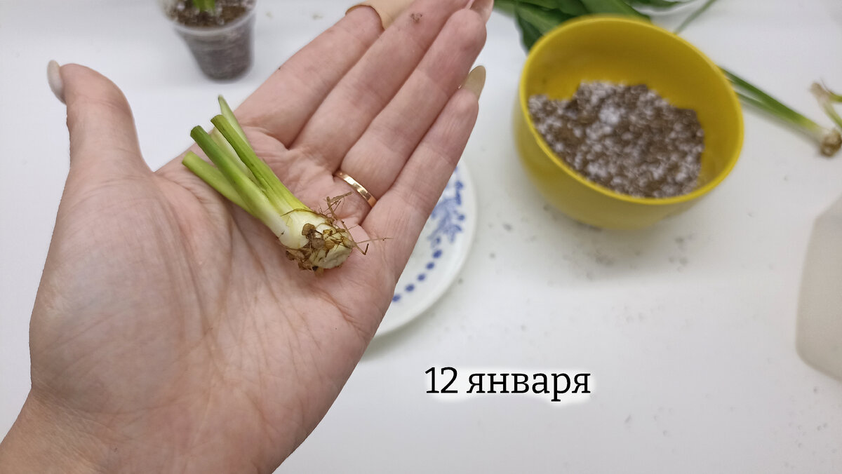 Выглядит так себе, не внушая особого оптимизма