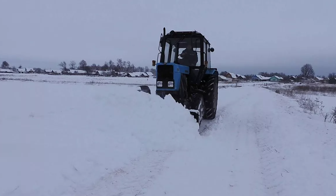 Яндекс картинки