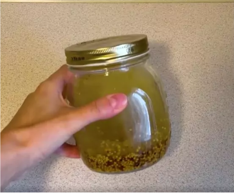 Los jardineros y cultivadores de flores experimentados conocen desde hace mucho tiempo la mostaza. Este es el caso cuando una planta ayuda a las demás a florecer profusamente, acumular masa foliar y sistema radicular.-4
