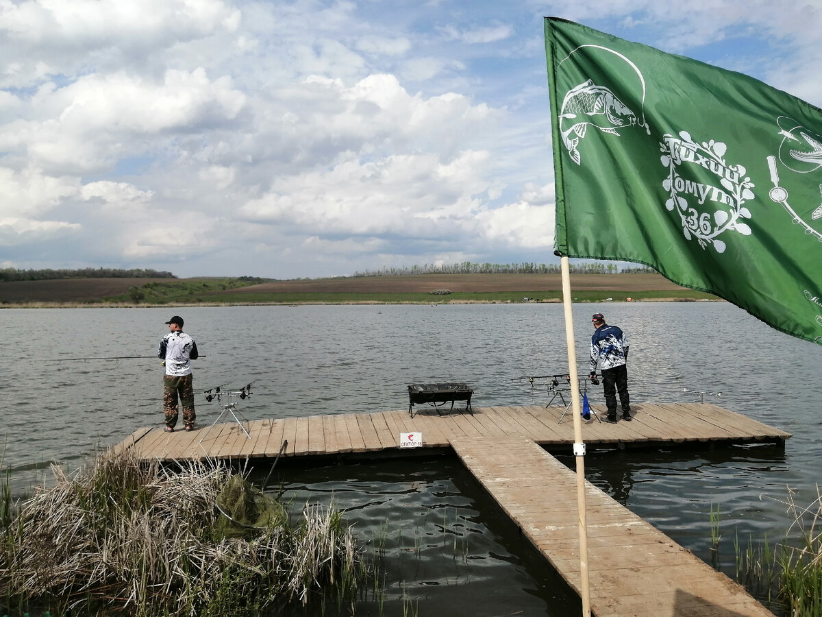 Карповые соревнования пруд Николаевка, Белгородская обл. | Янка и рыбалка  🌏 | Дзен