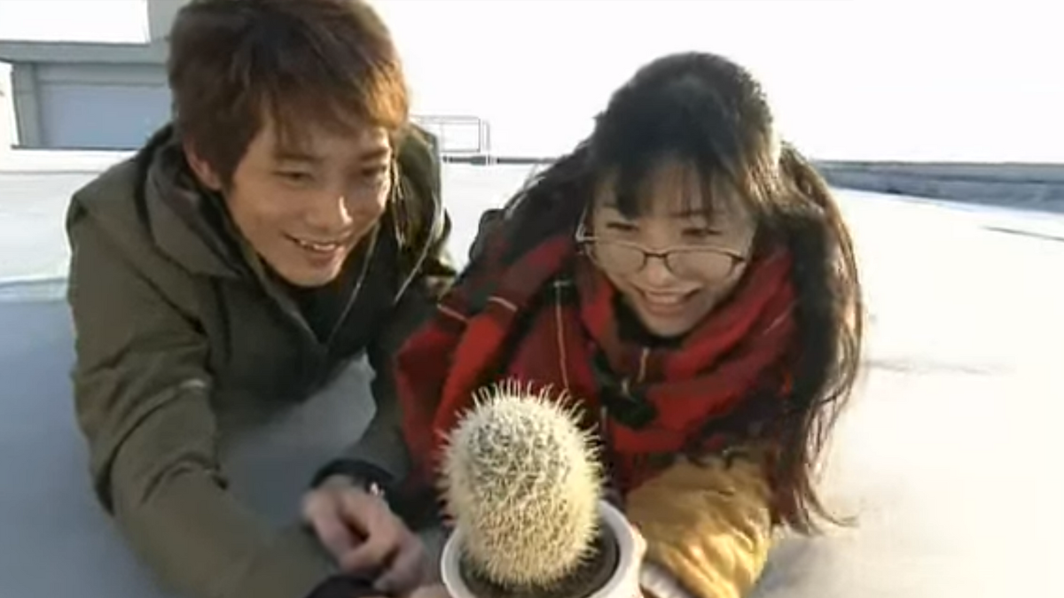 поймали кактус!