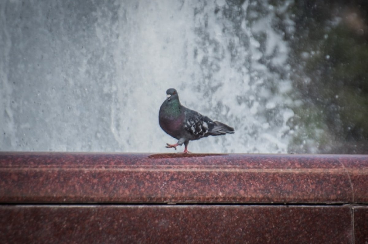    В Омской области аномальная жара побила рекорд 20-летней давности