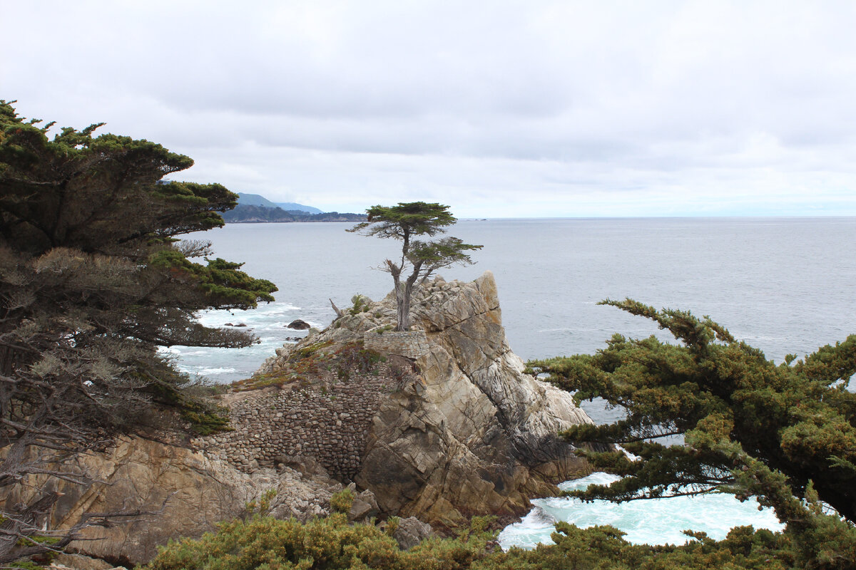 США, дорога №1. Фото автора