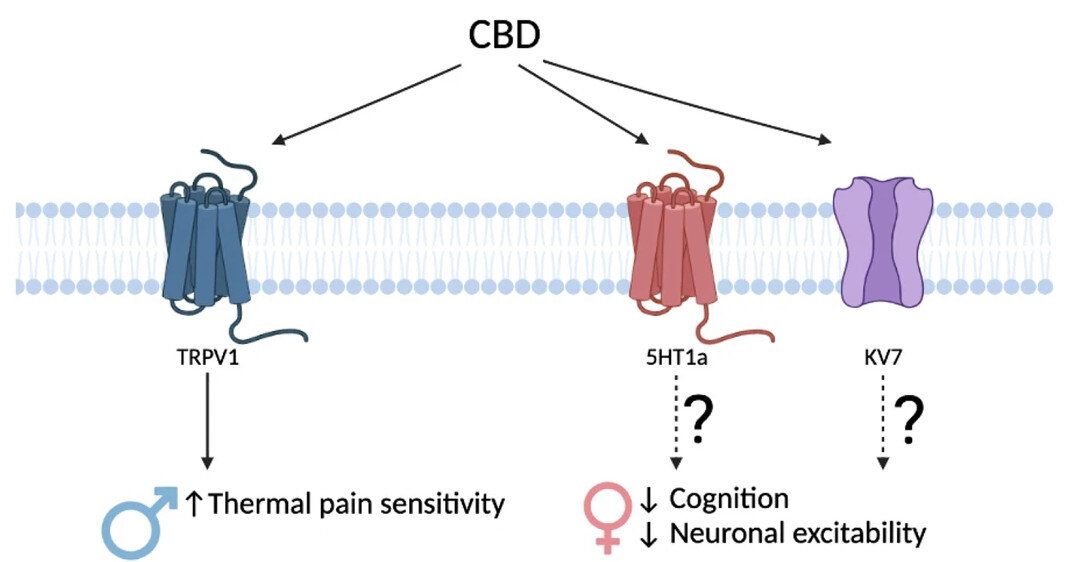  Karli S. Swenson et al. / Molecular Psychiatry, 2023