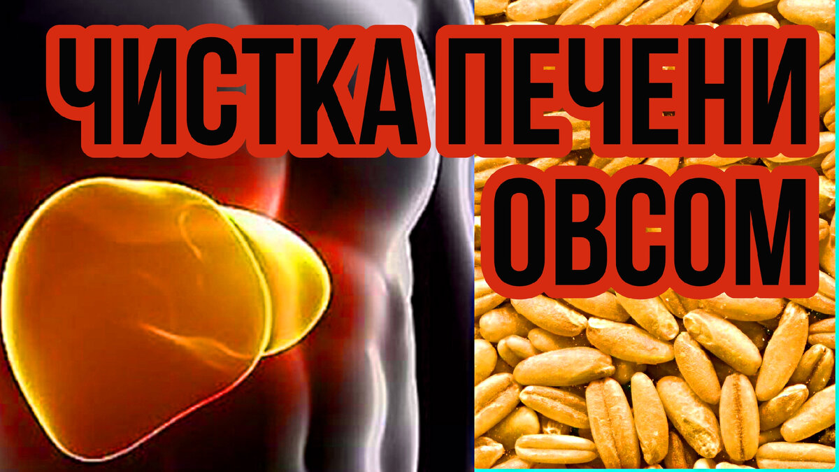 Чистка печени овсом: 2 рецепта приготовления отвара | ✓ ДИЕТЫ & КАК  ПОХУДЕТЬ ЛЕГКО! | Дзен