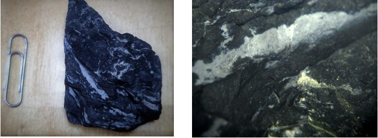 Образец бурого угля Печёрского бассейна из коллекции Д. Бабаева 1- в натуральную величину; 2- фрагмент образца, увеличенный под микроскопом