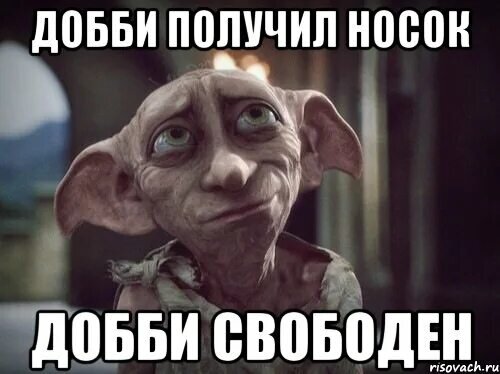 Картинка из открытого доступа