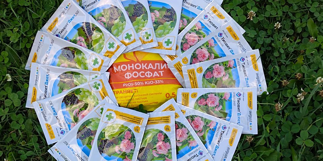 Монофосфат калия против оидиума. Пять главных ошибок