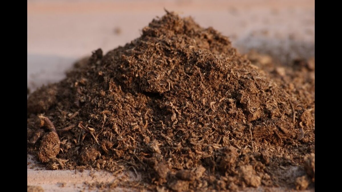 Источник фото: Яндекс.Картинки.