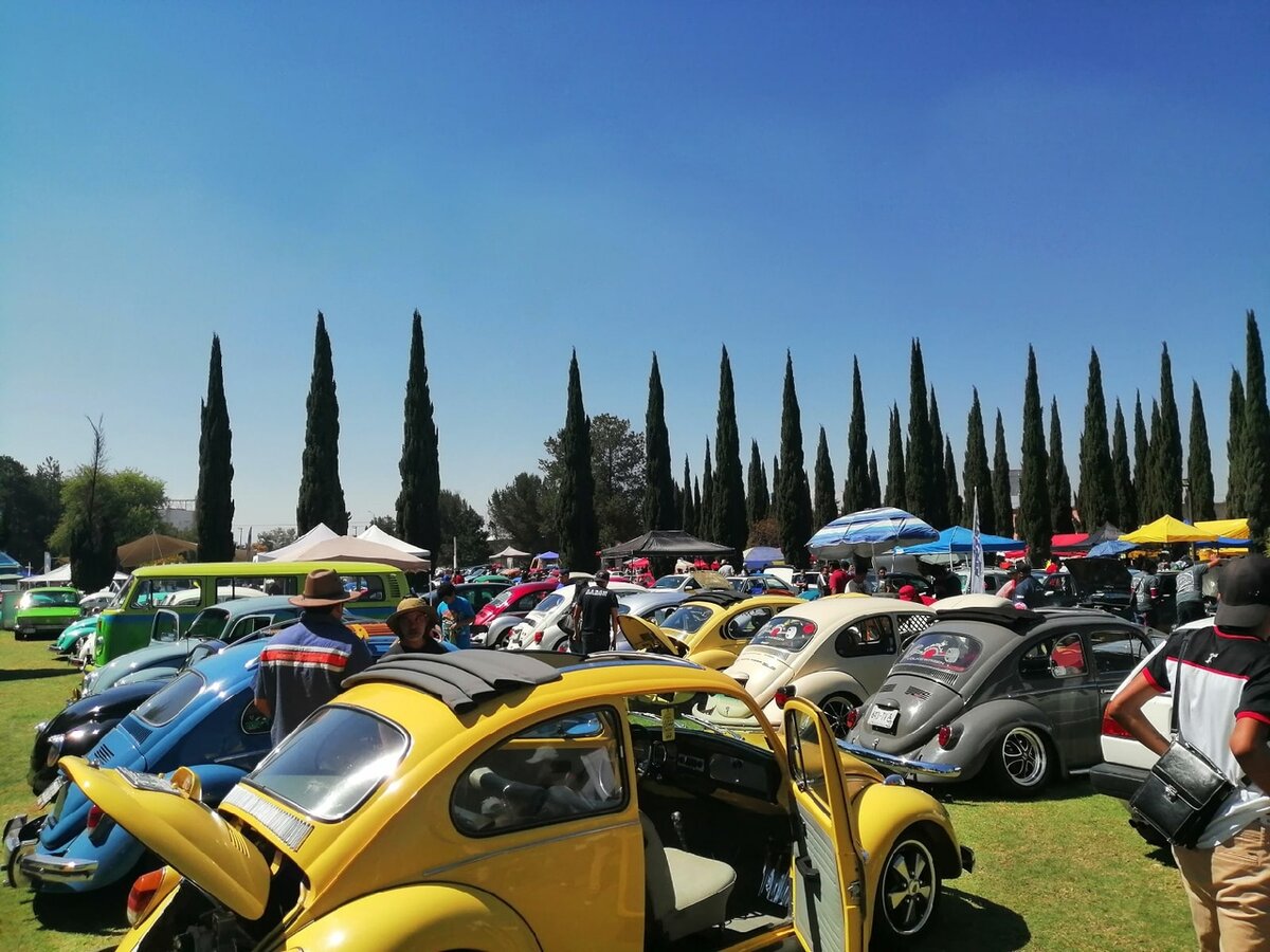 Выставка vochitos ("жуки") в Мексике. В Испании эту же машину назовут escarabajo