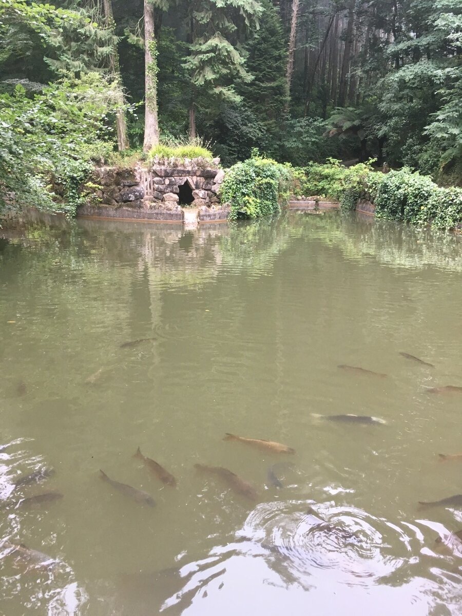 В этих прудах наверняка живут водяные и русалки