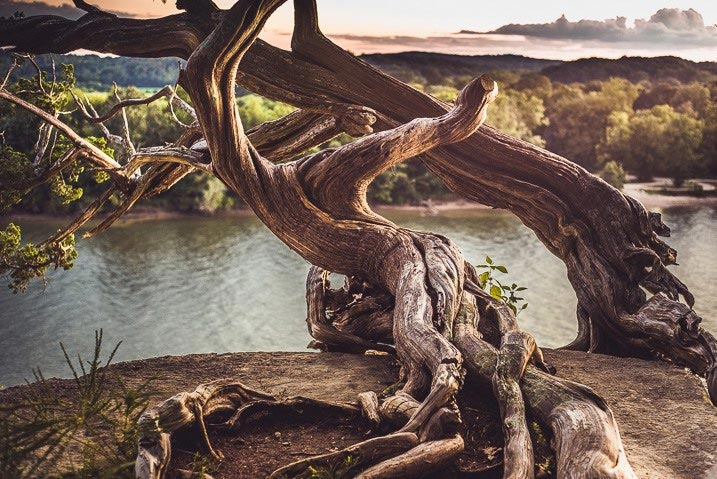 Источник Яндекс картинки