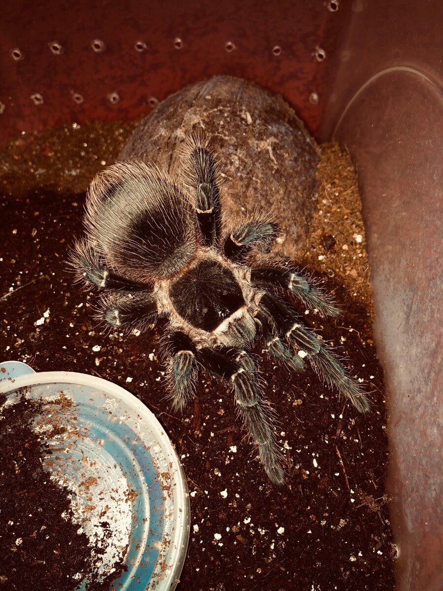 В сравнении с поилкой рядом.