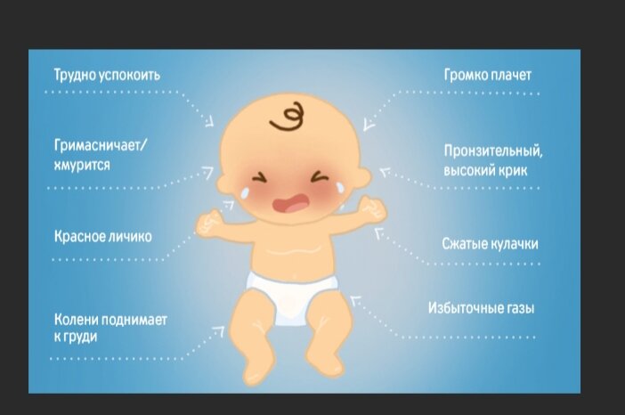 Фото из интернета 