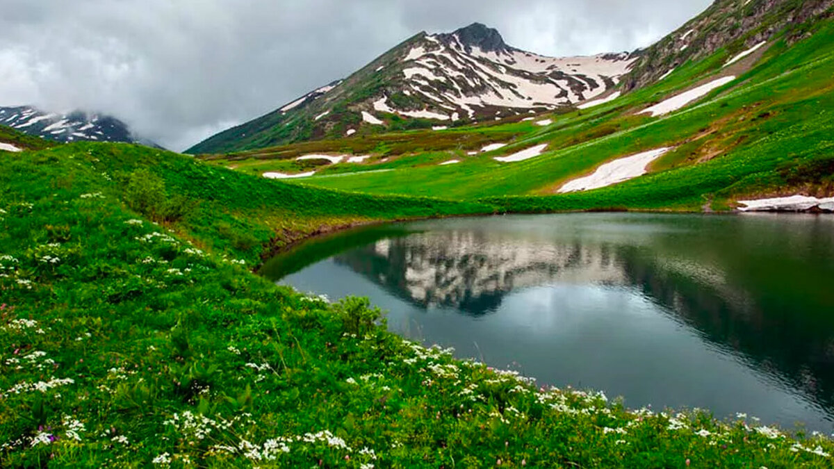 Заповедник Сочи красная Поляна Альпийские Луга