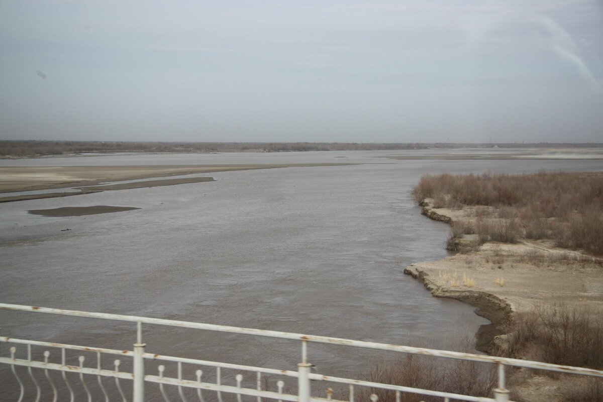 Амударья / из личного архива