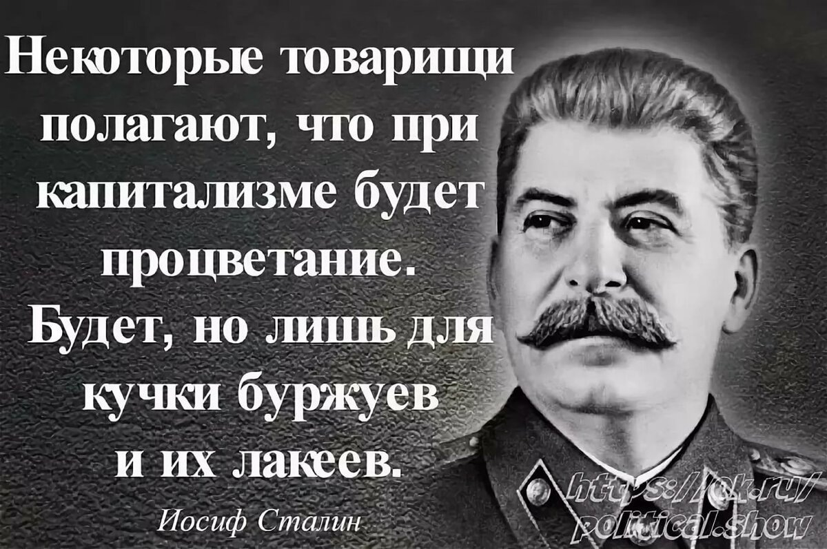 Фото из свободных источников Яндекс.  