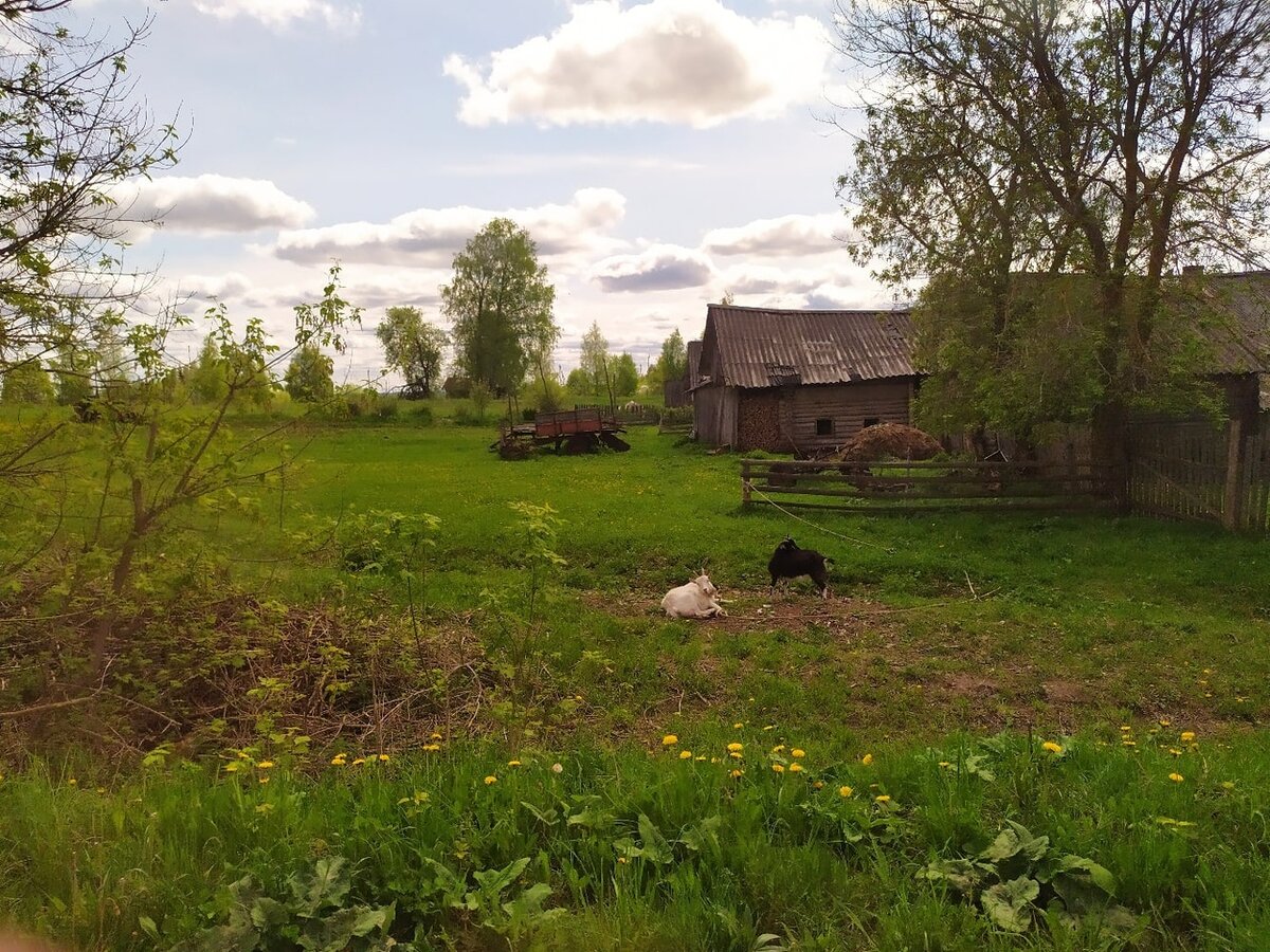 Деревня Самбатукса Карелия. Село деревянное Карелия фото.