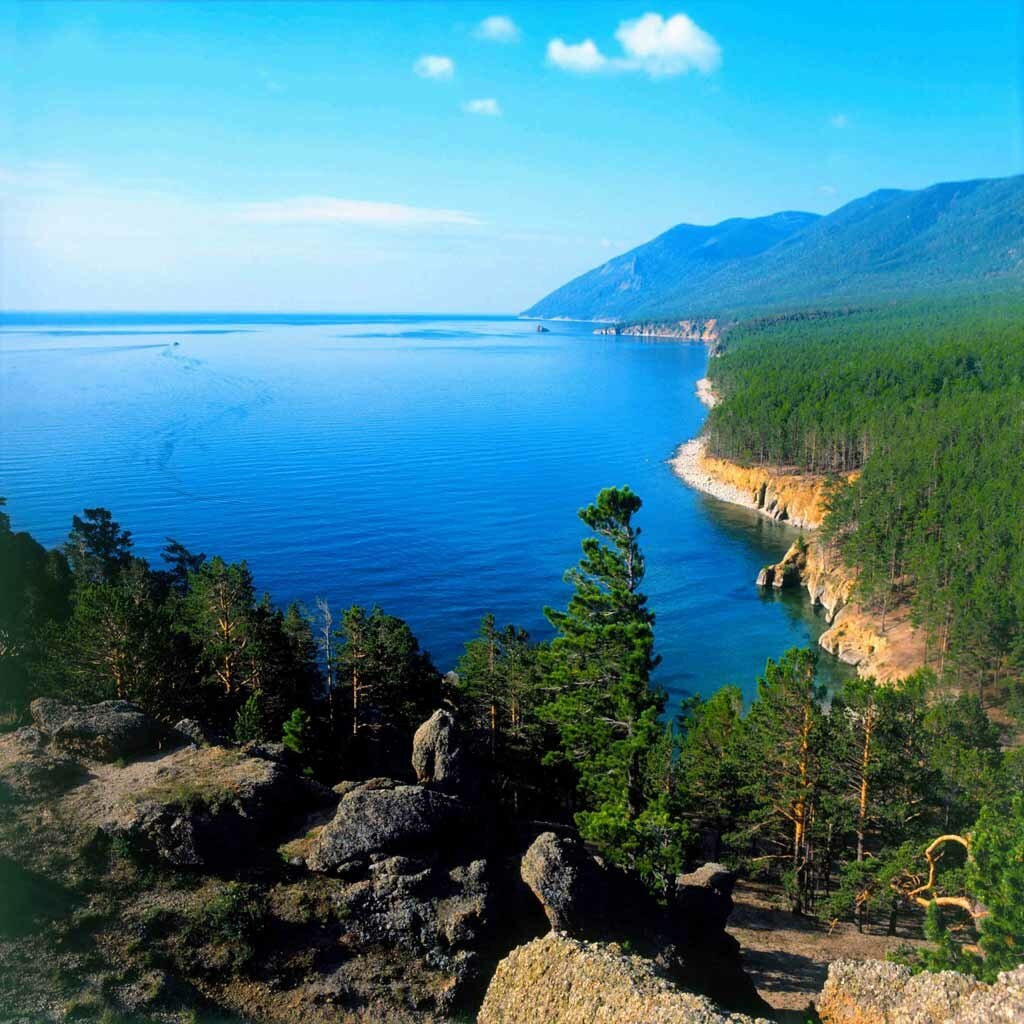 Фото загружено из Яндекс картинок. 