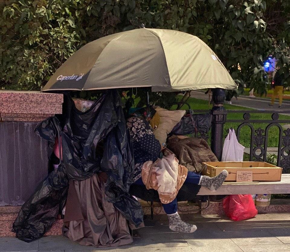 Молодая дама отдыхает в модном столичном парке с книжкой Булгакова.